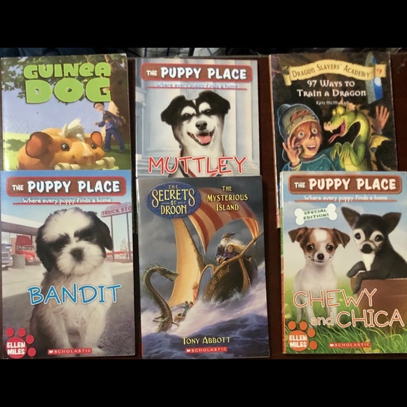 Other - (6) Scholastic Paperback Books, $28 Value, Used
